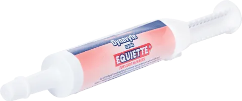 Dynavyte Equine Equiette Paste