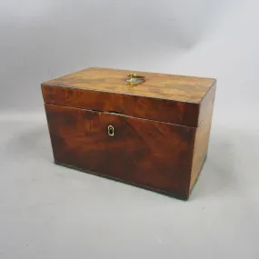 Walnut Wood Twin Compartment Tea Caddy Box Antique Georgian c1820